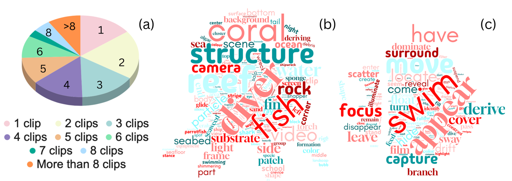 MSC Overview of the MSC dataset